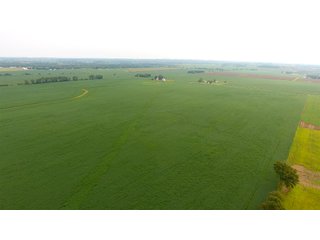 Property photo 9 - IMPORTANT OHIO LAND AUCTION - 325.5+/- ACRES OFFERED IN 8 TRACTS IN PICKAWAY COUNTY, OHIO
